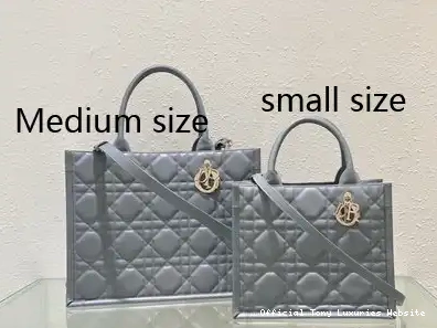 Tony Luxuries SMALL diro TOTE-26.5*21*14CM BOOK 0405